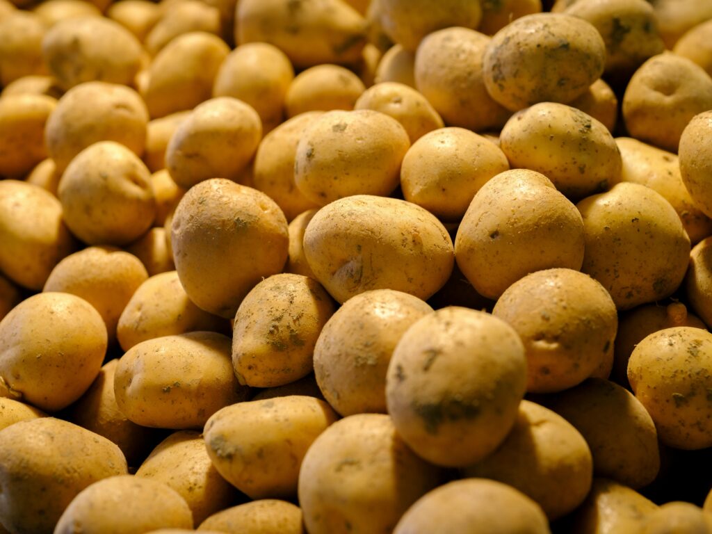 Potato Farming pic
