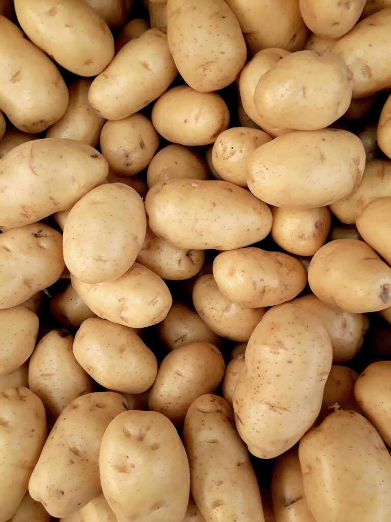 Potato Farming pic