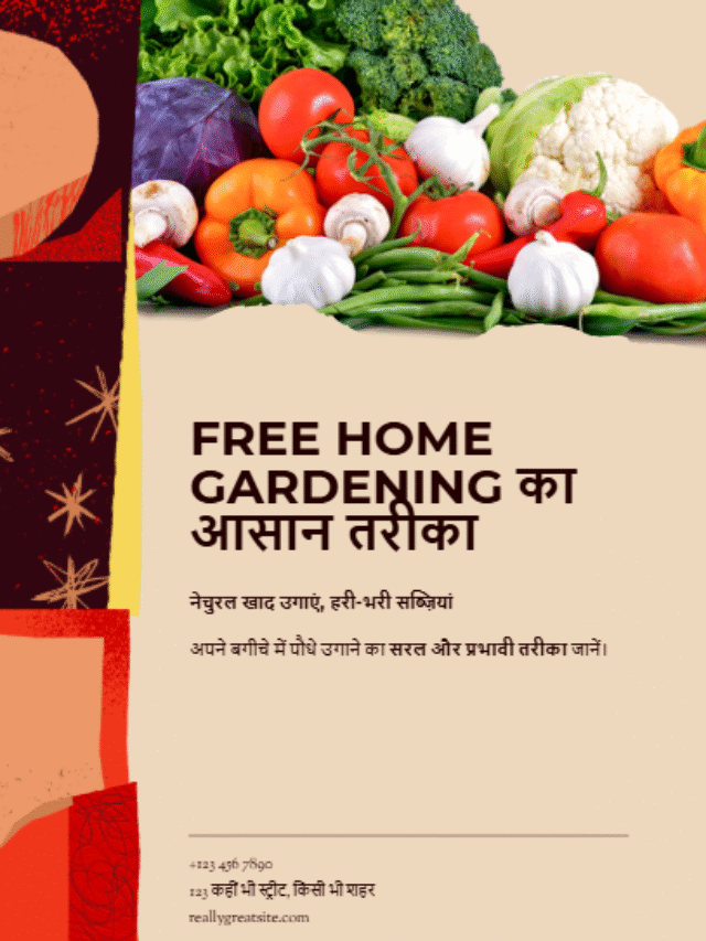 Free Gardening Tips: घर की राख से बनाएं सुपरफर्टिलाइज़र